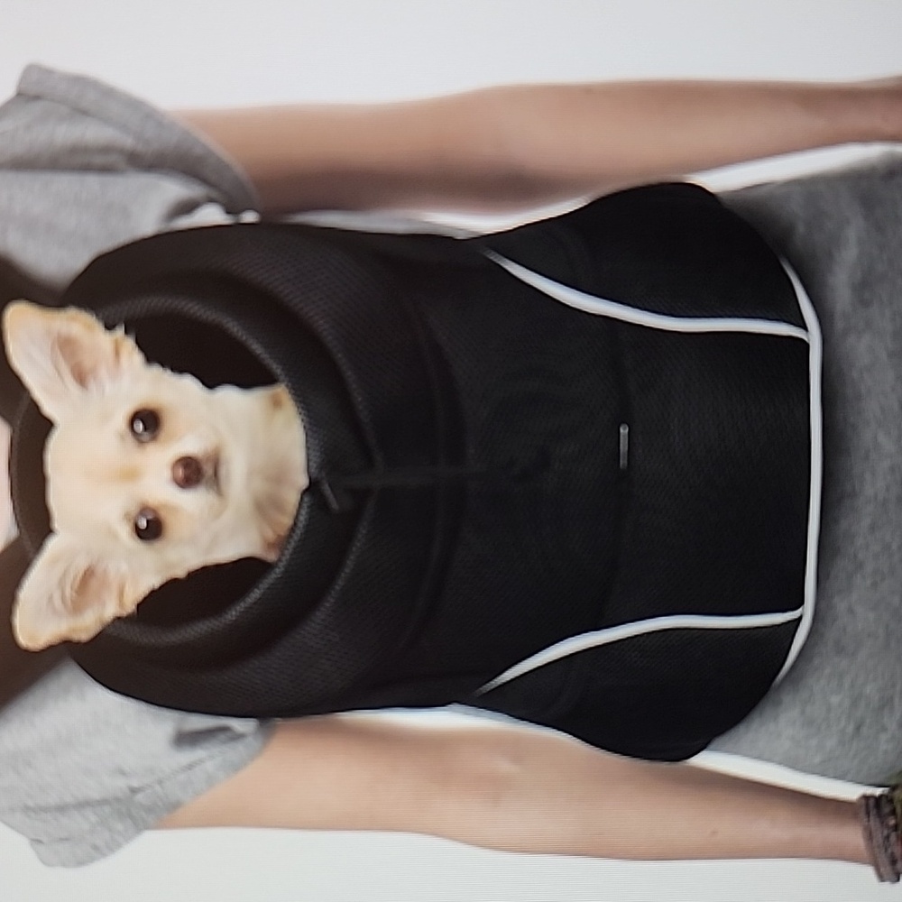 Dog carrier